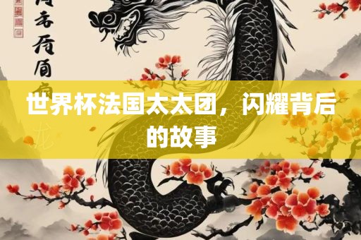世界杯法国太太团，闪耀背后的故事