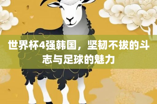 世界杯4强韩国，坚韧不拔的斗志与足球的魅力