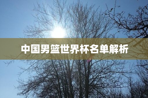 中国男篮世界杯名单解析