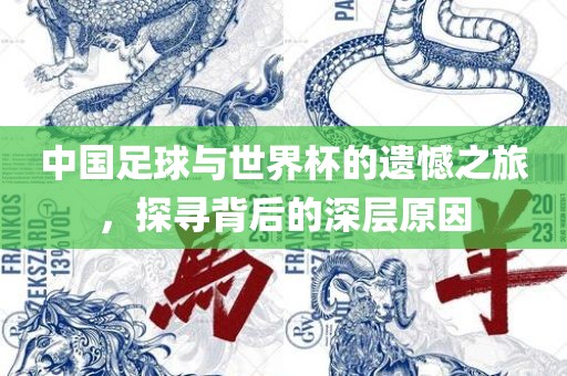 中国足球与世界杯的遗憾之旅，探寻背后的深层原因
