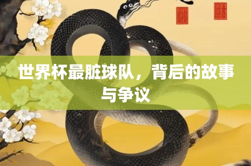 世界杯最脏球队，背后的故事与争议