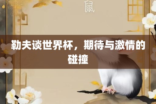 勒夫谈世界杯，期待与激情的碰撞