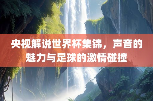 央视解说世界杯集锦，声音的魅力与足球的激情碰撞