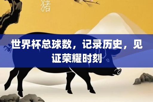 世界杯总球数，记录历史，见证荣耀时刻