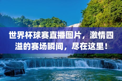 世界杯球赛直播图片，激情四溢的赛场瞬间，尽在这里！