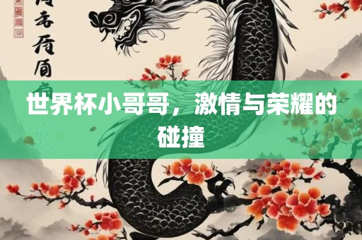 世界杯小哥哥，激情与荣耀的碰撞