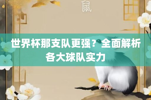 世界杯那支队更强？全面解析各大球队实力
