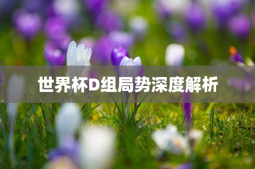 世界杯D组局势深度解析