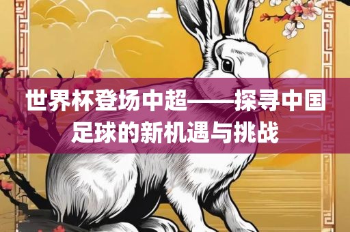 世界杯登场中超——探寻中国足球的新机遇与挑战