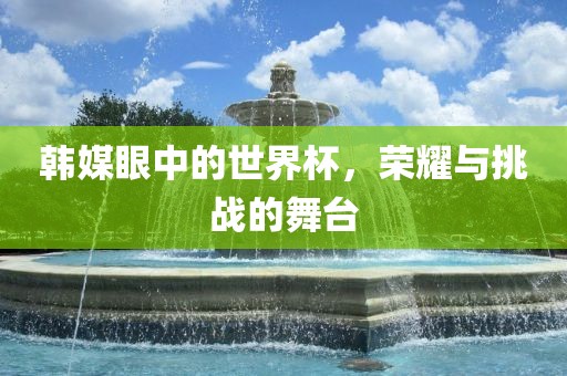 韩媒眼中的世界杯，荣耀与挑战的舞台