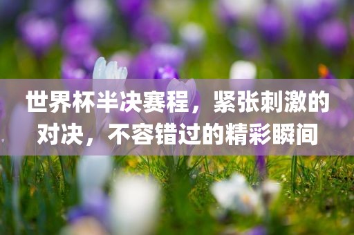 世界杯半决赛程，紧张刺激的对决，不容错过的精彩瞬间