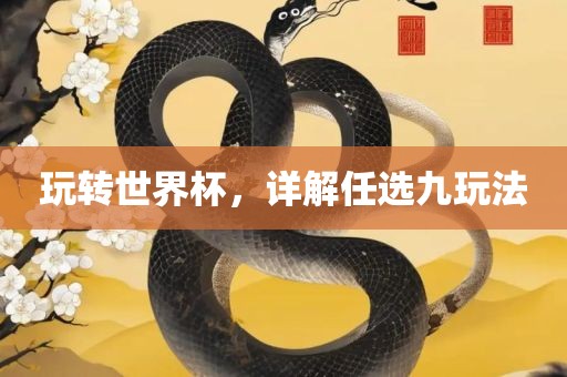 玩转世界杯，详解任选九玩法