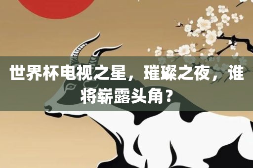 世界杯电视之星，璀璨之夜，谁将崭露头角？