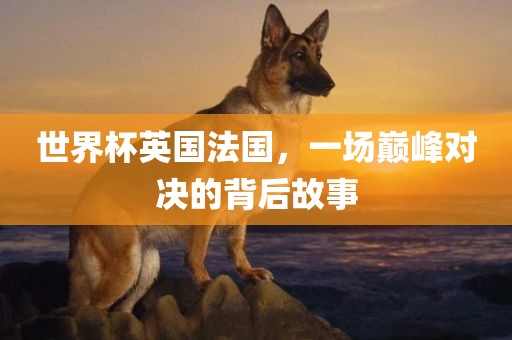 世界杯英国法国，一场巅峰对决的背后故事