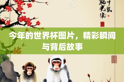 今年的世界杯图片，精彩瞬间与背后故事