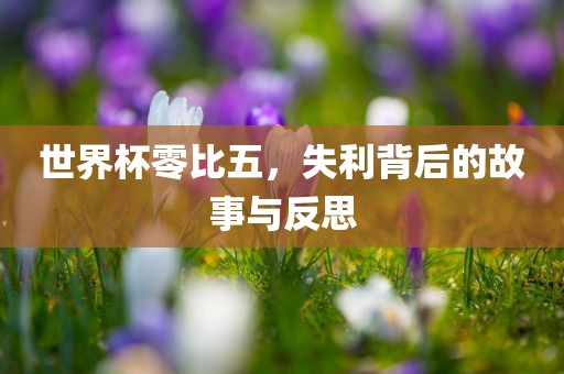 世界杯零比五，失利背后的故事与反思