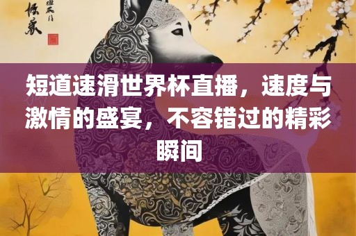 短道速滑世界杯直播，速度与激情的盛宴，不容错过的精彩瞬间