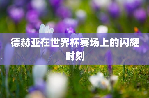 德赫亚在世界杯赛场上的闪耀时刻