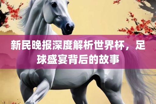 新民晚报深度解析世界杯，足球盛宴背后的故事