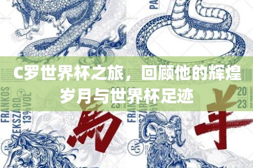 C罗世界杯之旅，回顾他的辉煌岁月与世界杯足迹