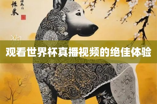观看世界杯真播视频的绝佳体验