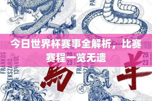 今日世界杯赛事全解析，比赛赛程一览无遗