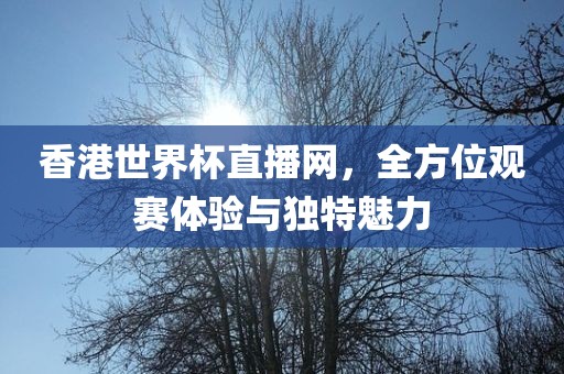 香港世界杯直播网，全方位观赛体验与独特魅力