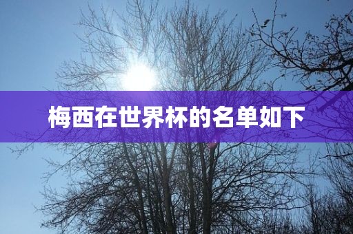 梅西在世界杯的名单如下