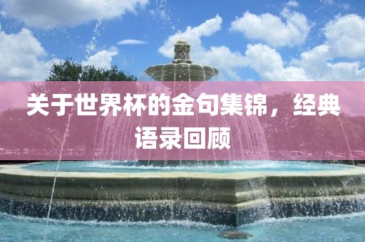 关于世界杯的金句集锦，经典语录回顾