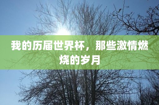 我的历届世界杯，那些激情燃烧的岁月