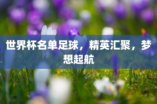 世界杯名单足球，精英汇聚，梦想起航