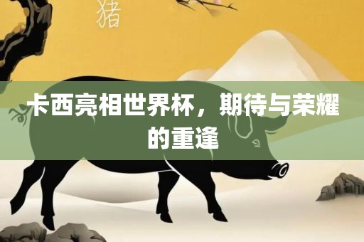 卡西亮相世界杯，期待与荣耀的重逢