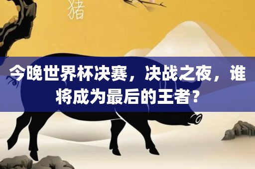 今晚世界杯决赛，决战之夜，谁将成为最后的王者？