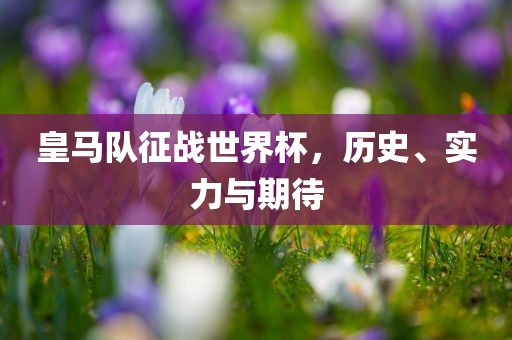皇马队征战世界杯，历史、实力与期待