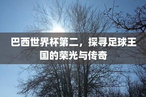 巴西世界杯第二，探寻足球王国的荣光与传奇