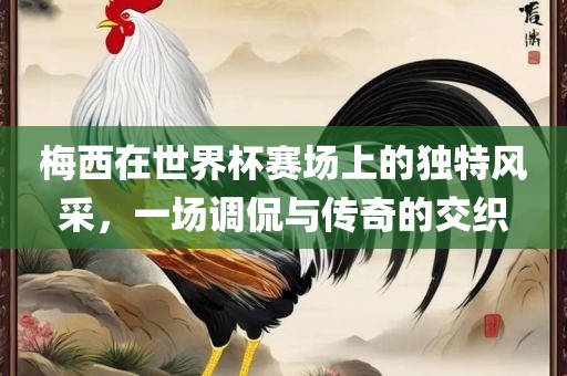 梅西在世界杯赛场上的独特风采，一场调侃与传奇的交织