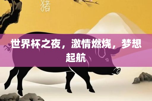 世界杯之夜，激情燃烧，梦想起航