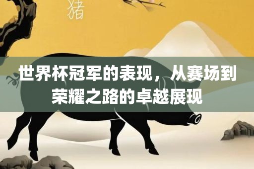 世界杯冠军的表现，从赛场到荣耀之路的卓越展现