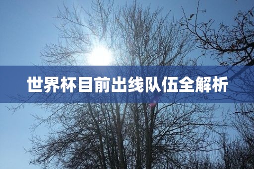 世界杯目前出线队伍全解析