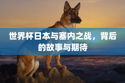 世界杯日本与塞内之战，背后的故事与期待