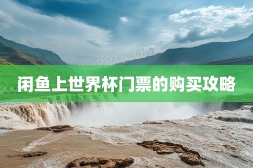 闲鱼上世界杯门票的购买攻略