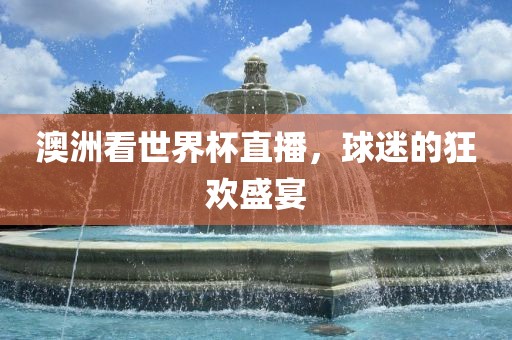 澳洲看世界杯直播，球迷的狂欢盛宴
