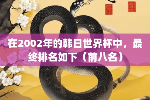 在2002年的韩日世界杯中，最终排名如下（前八名）