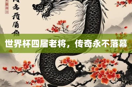 世界杯四届老将，传奇永不落幕