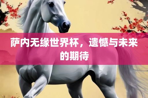 萨内无缘世界杯，遗憾与未来的期待