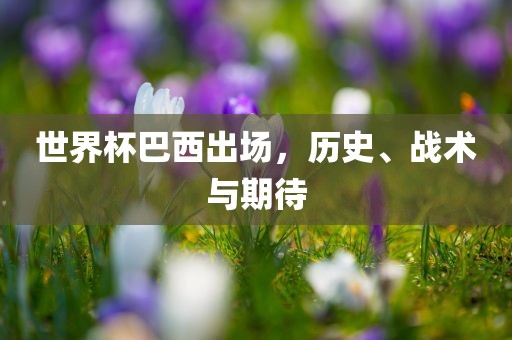 世界杯巴西出场，历史、战术与期待