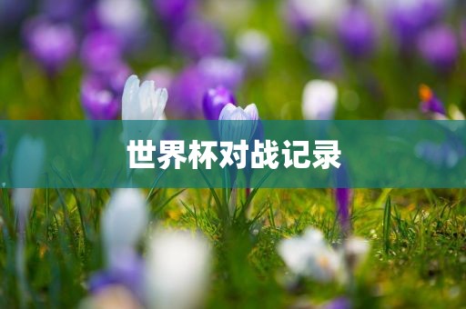 世界杯对战记录