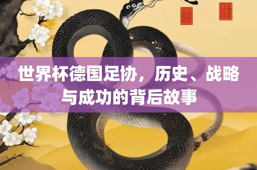 世界杯德国足协，历史、战略与成功的背后故事