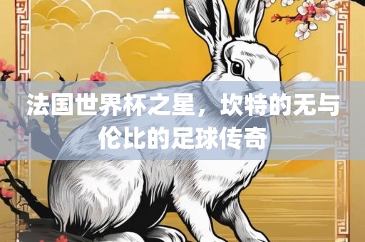 法国世界杯之星，坎特的无与伦比的足球传奇