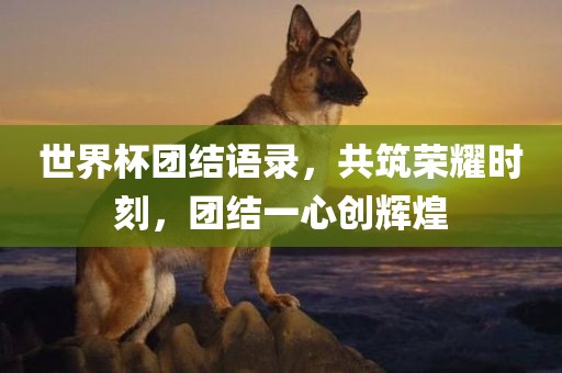 世界杯团结语录，共筑荣耀时刻，团结一心创辉煌